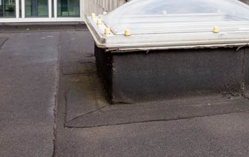 disadvantages of Borwick Rails flat roofs
