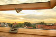 rated Borwick Rails roof window companies